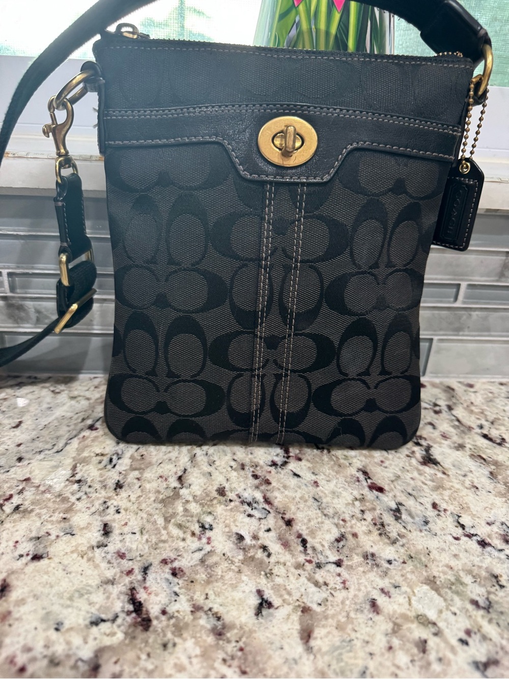 Coach Signature Hampton Swingpack Crossbody Bag
Signature C Vintage Purse - Picture 2 of 11